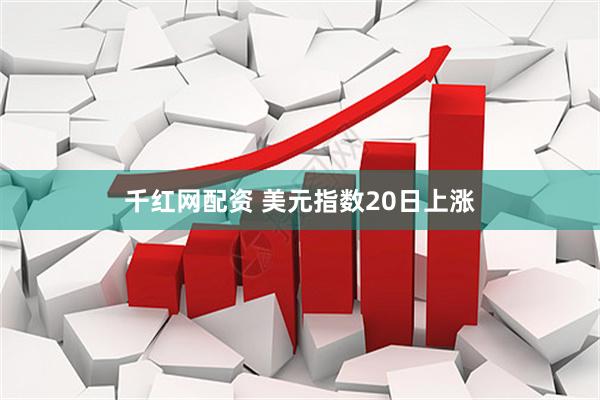 千红网配资 美元指数20日上涨