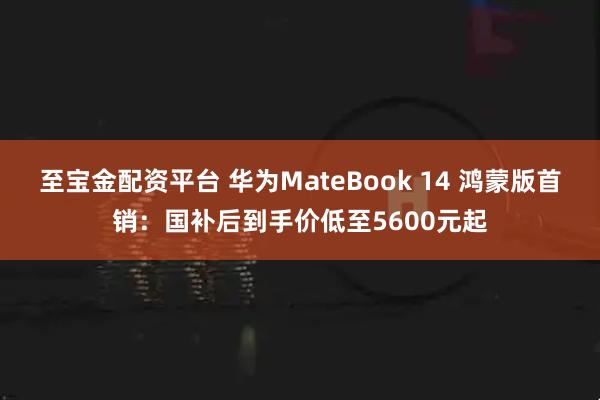 至宝金配资平台 华为MateBook 14 鸿蒙版首销：国补后到手价低至5600元起